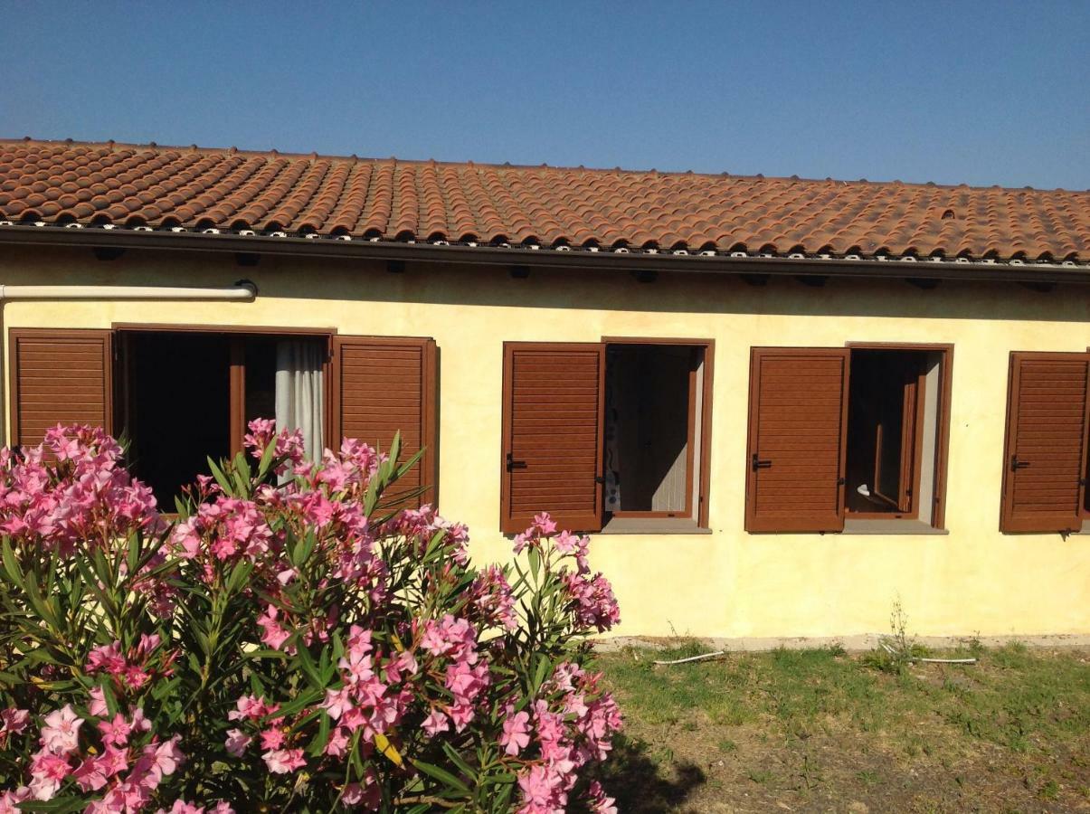 Agriturismo Sa Murta In Sennariolo-Oristano Exterior photo